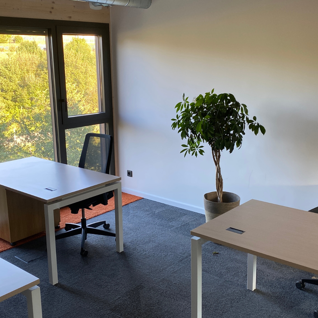 Bureau privatif La Grange Business Annecy